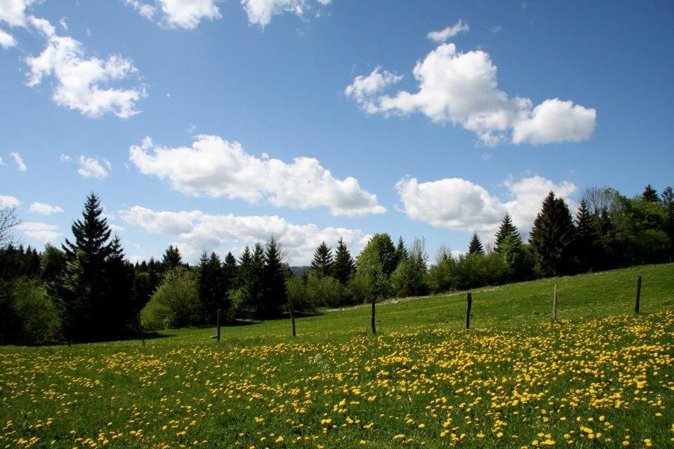 De La Perdrix Hauterive-la-Fresse